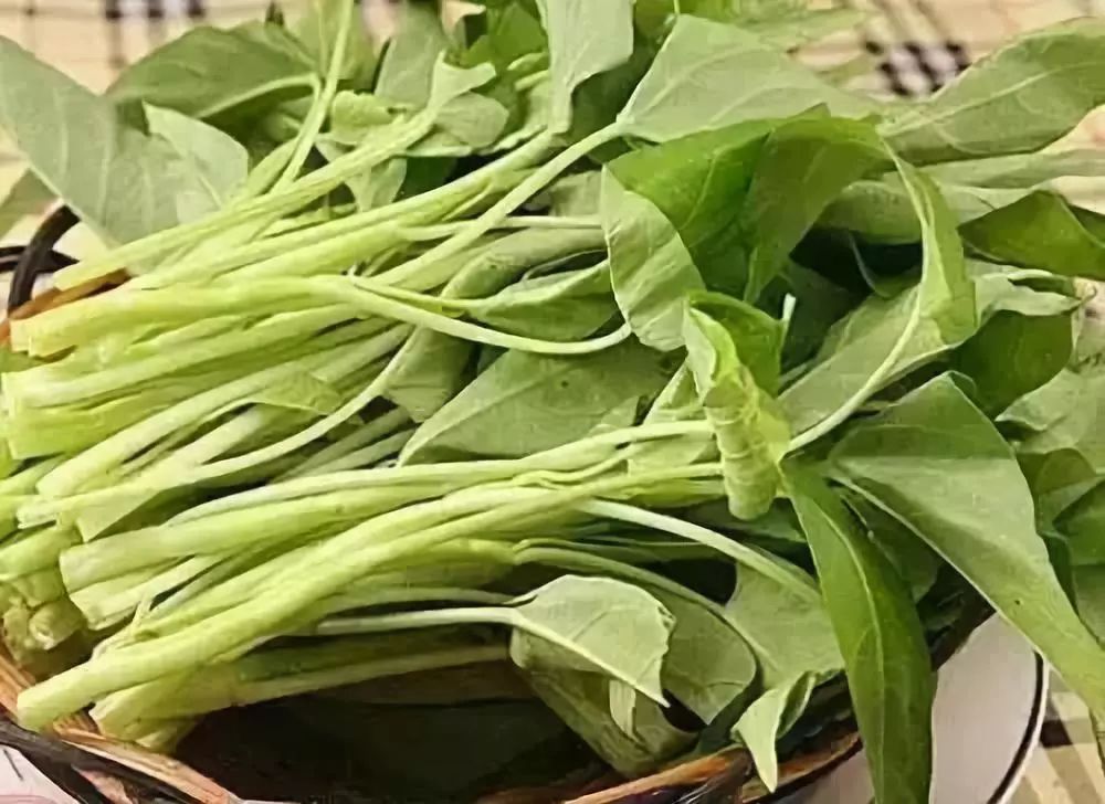 富硒地瓜叫北京红吗