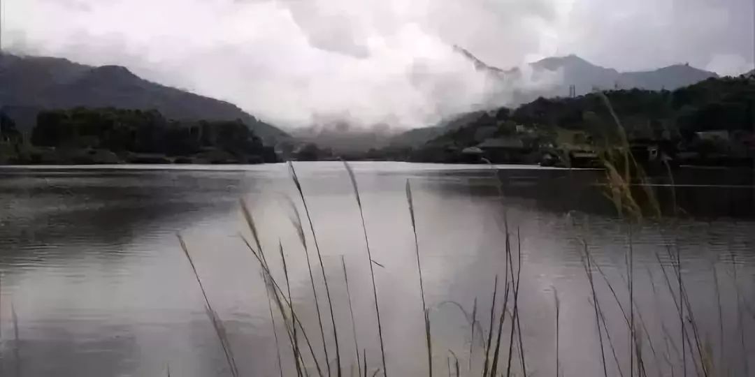 富硒地瓜叫北京红吗