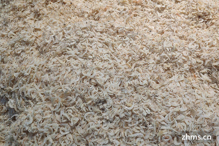 最好补钙食物有哪些，营养专家表示：这3种食物最补钙