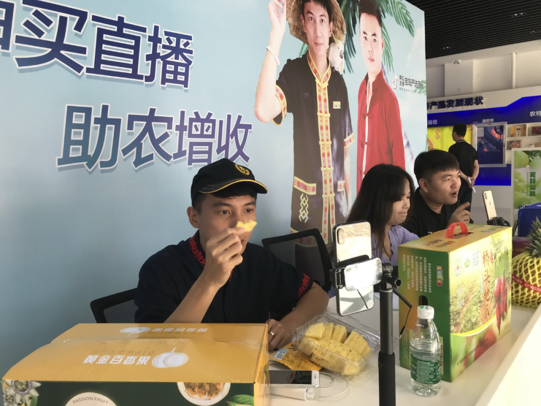 桥头富硒地瓜合作社
