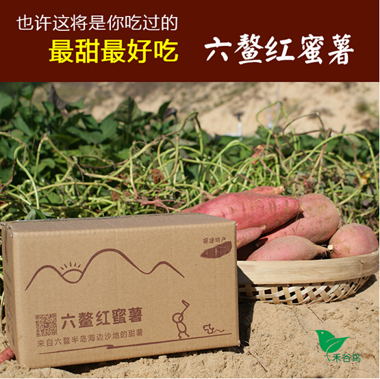 富硒蜜薯地瓜都打药