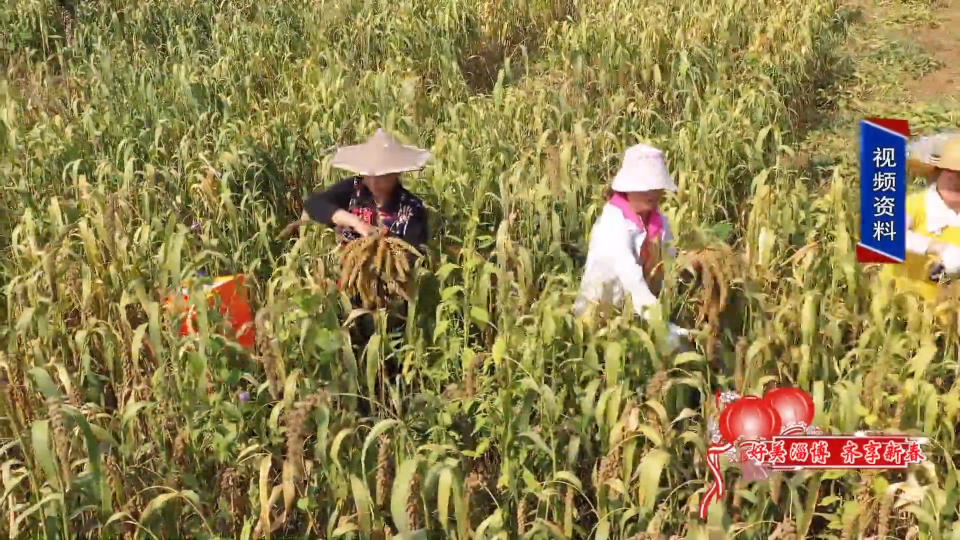 富硒面粉跟普通面粉