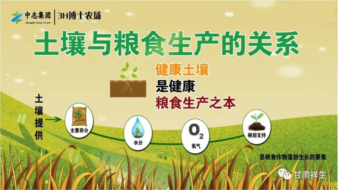 富硒面粉吃了会胖吗