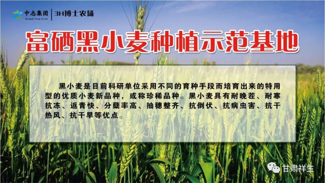 富硒面粉吃了会胖吗
