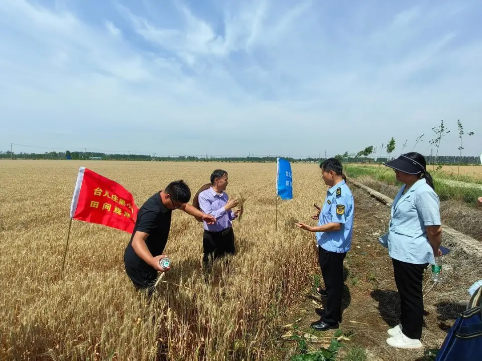 富硒黑小麦面粉加工
