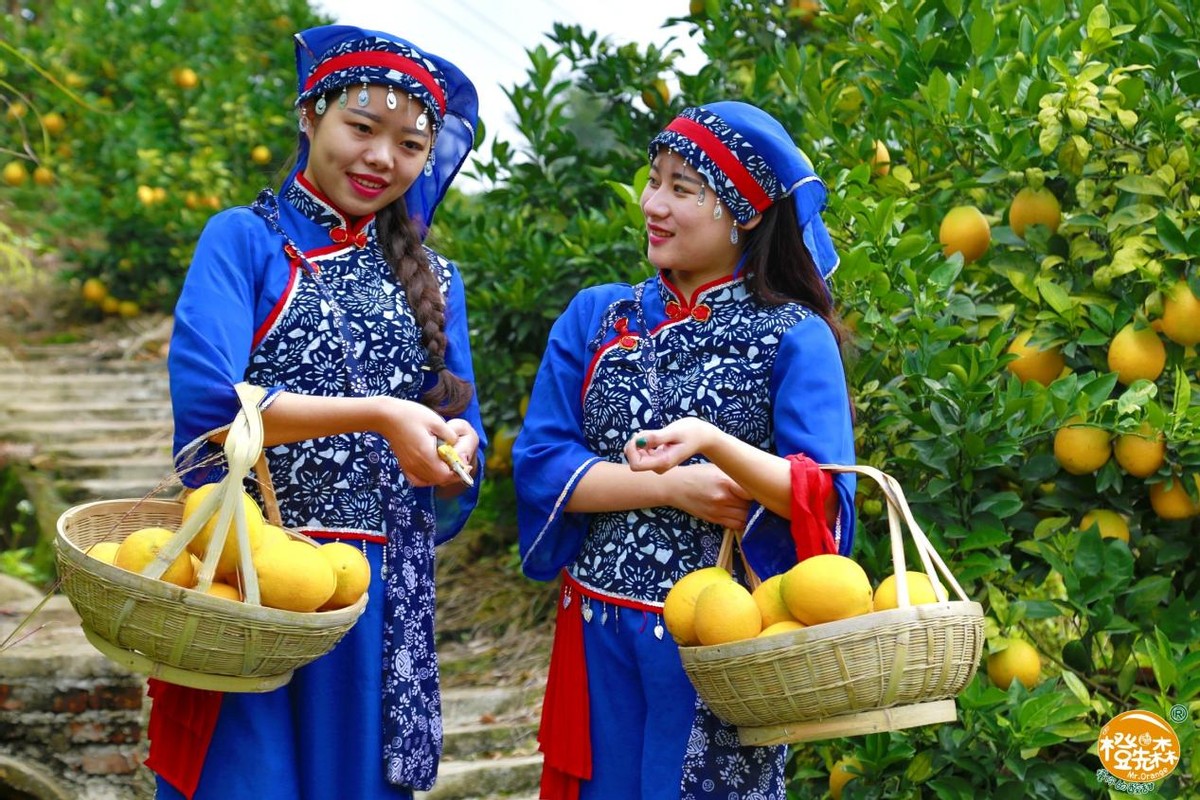 赣州市富硒蔬菜基地