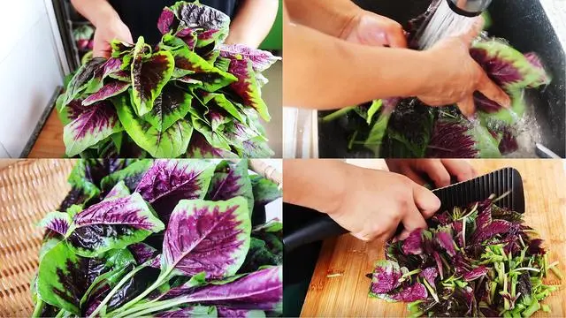 什么菜补钙