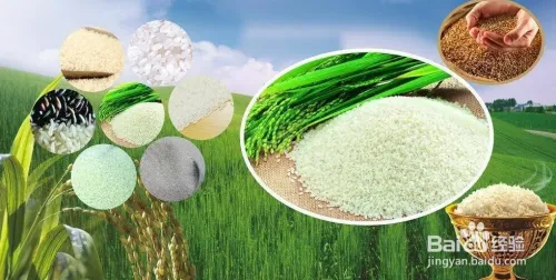 人体缺硒可以吃哪些富硒类食物？