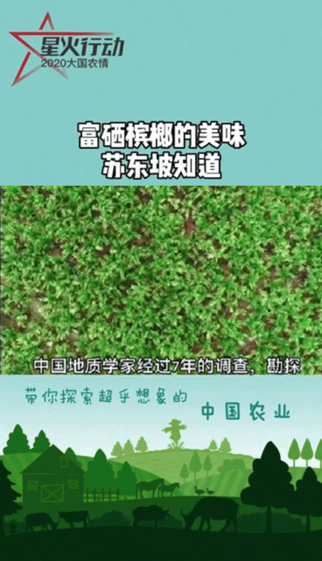富硒黑土壤种植蔬菜