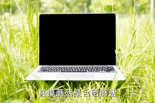 甚摸蘑菇是含硒蘑菇