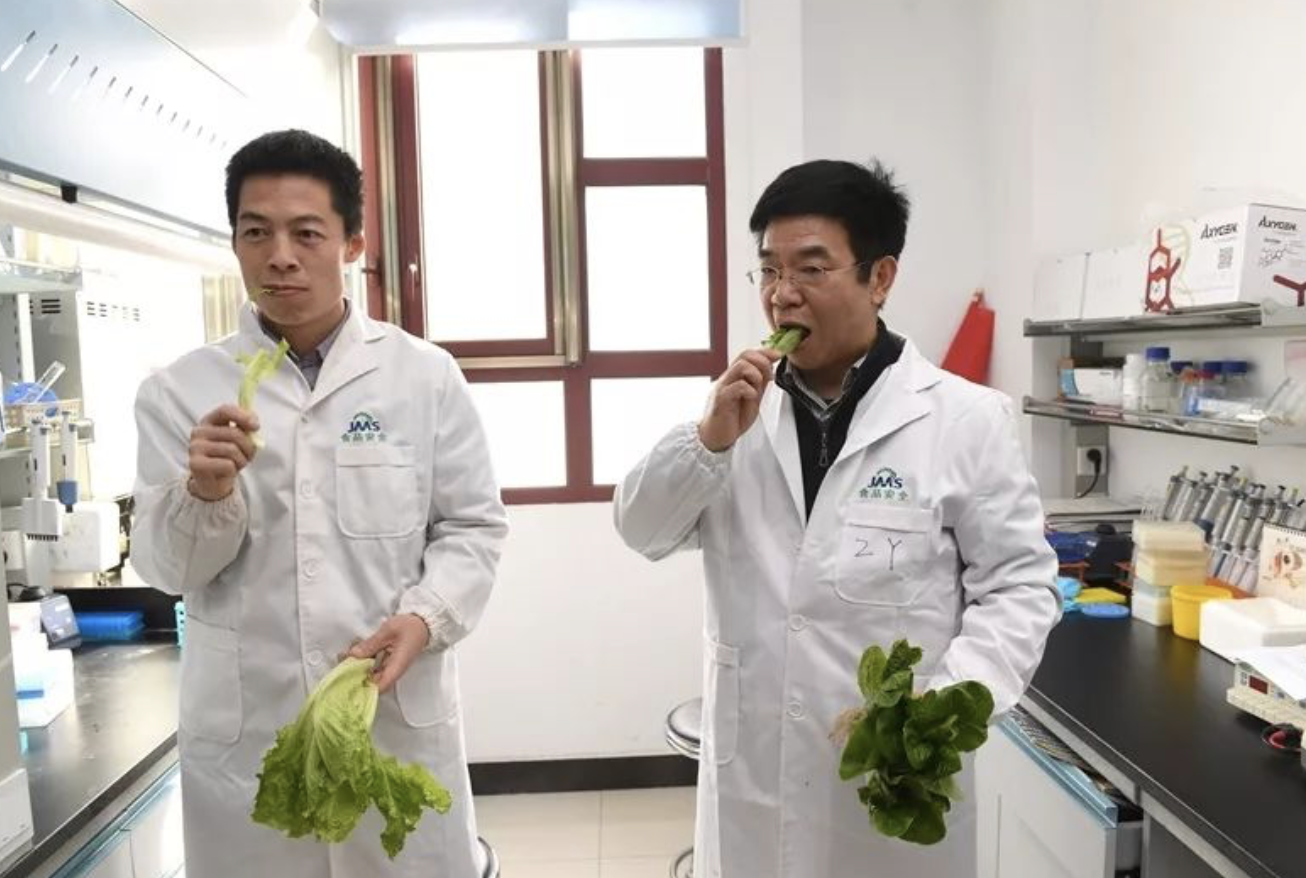 富硒水培蔬菜的营养