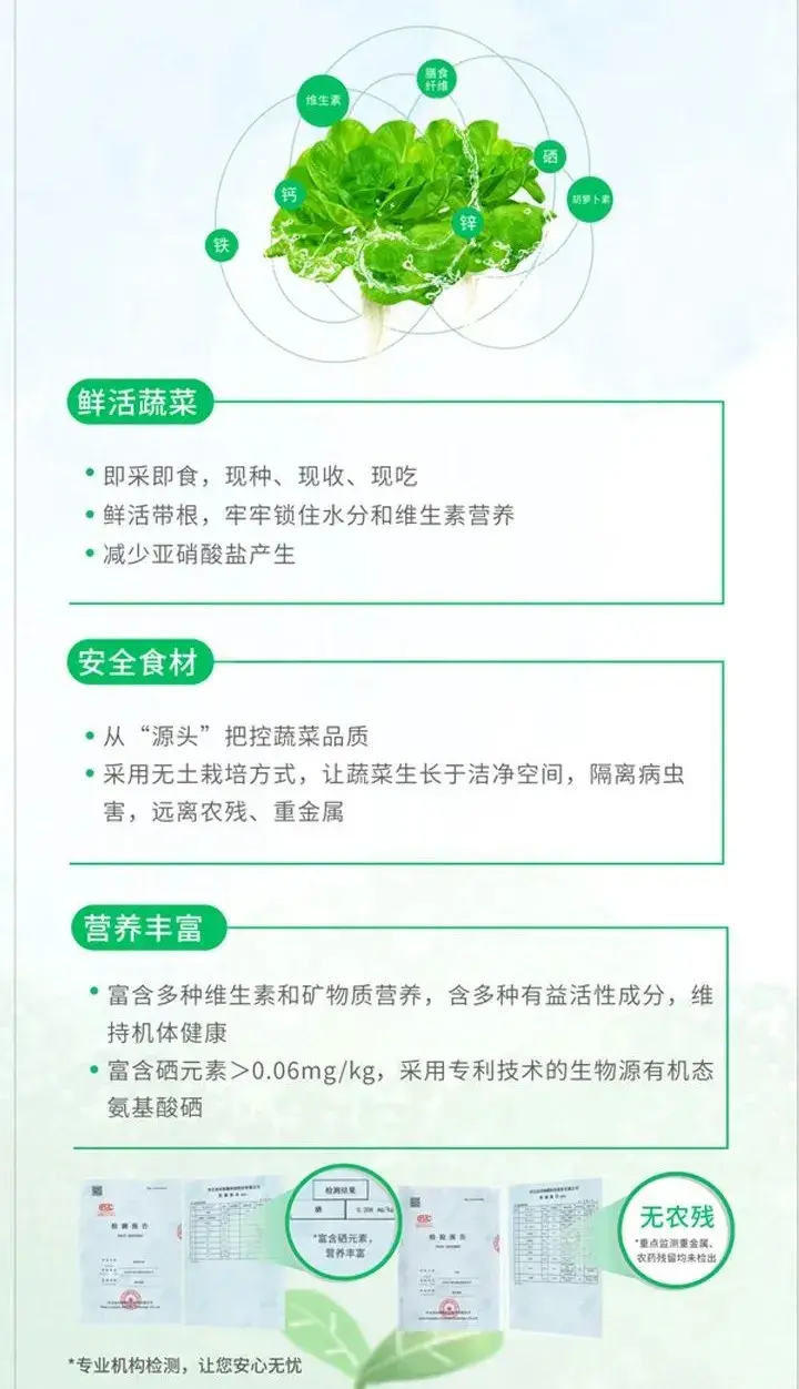 富硒水培蔬菜的营养