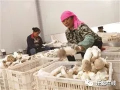 富硒蔬菜产业园股票