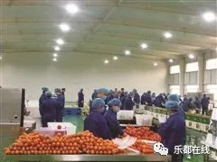 富硒蔬菜产业园股票