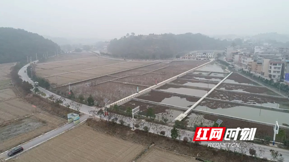 新建村富硒蔬菜基地