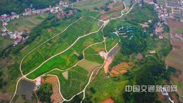 新建村富硒蔬菜基地