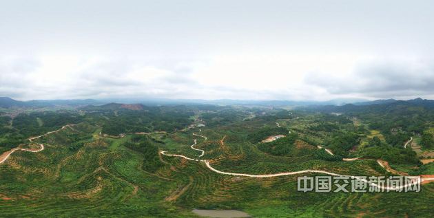 新建村富硒蔬菜基地