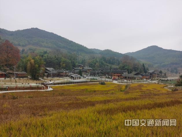 新建村富硒蔬菜基地