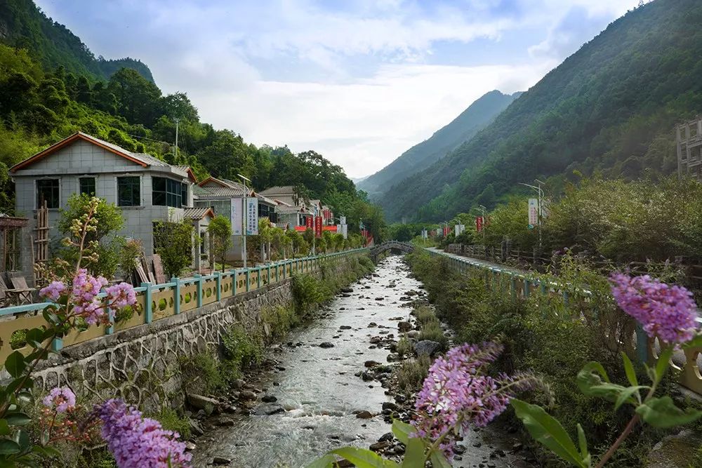 野三关高山富硒蔬菜