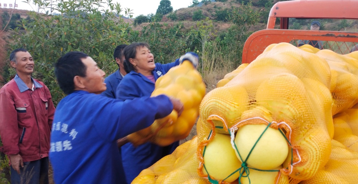 万安县富硒蔬菜种植