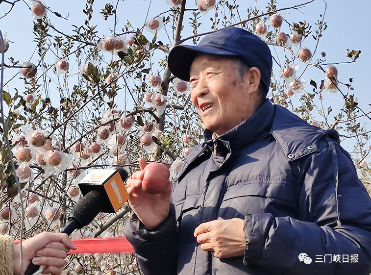 富硒水果的种植方法