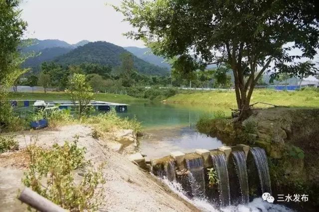 富硒水果采摘园特点