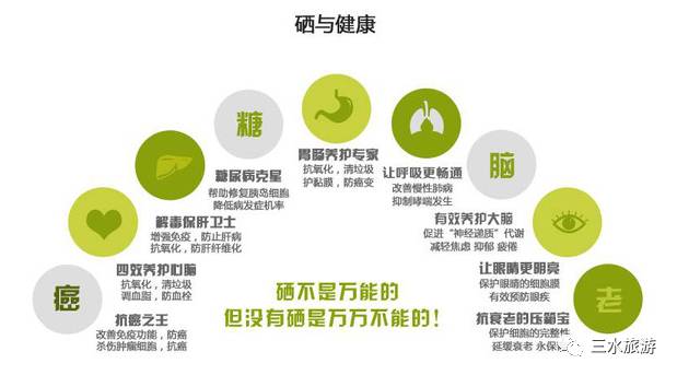 富硒水果采摘园特点