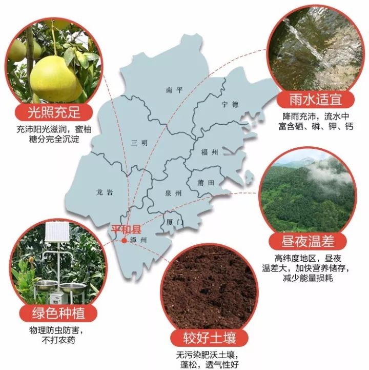 富硒水果罐头的做法