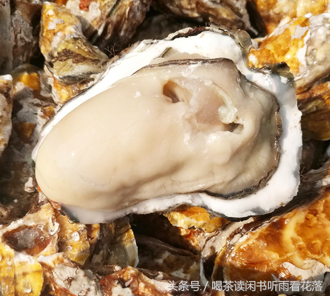 硒金牡蛎是什么产品