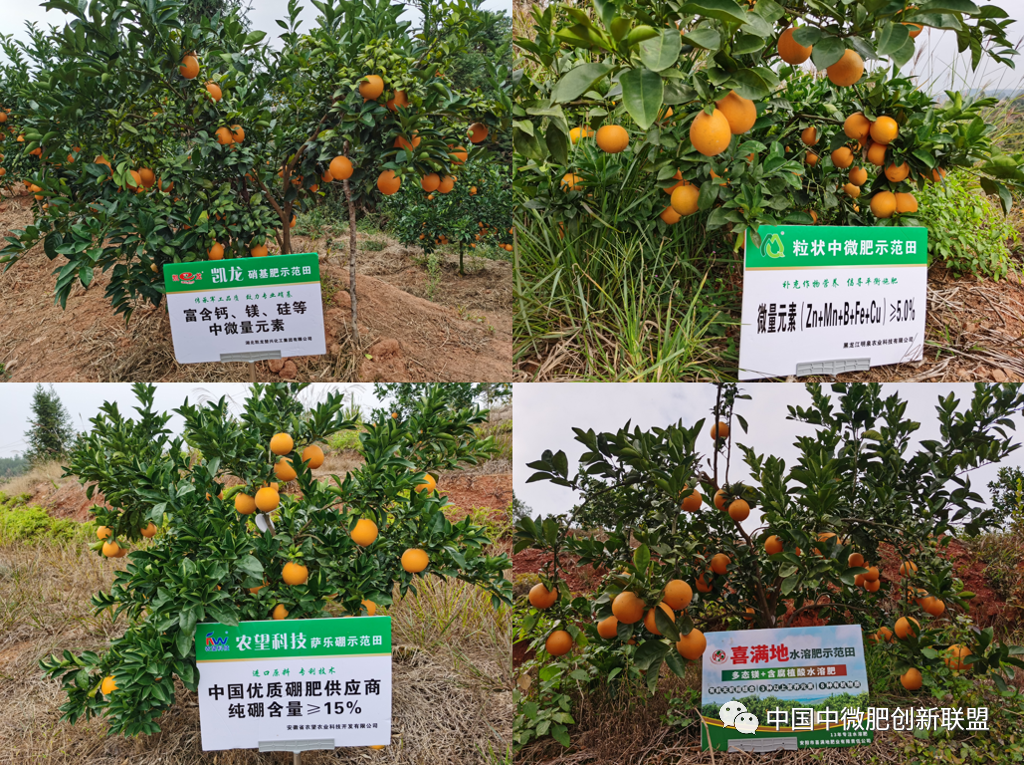 于都含硒产品有哪些