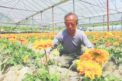 锌硒康养农产品基地
