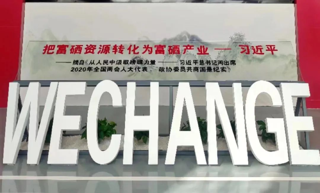 硒技术产品推广方案