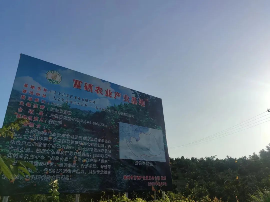 硒技术产品推广方案