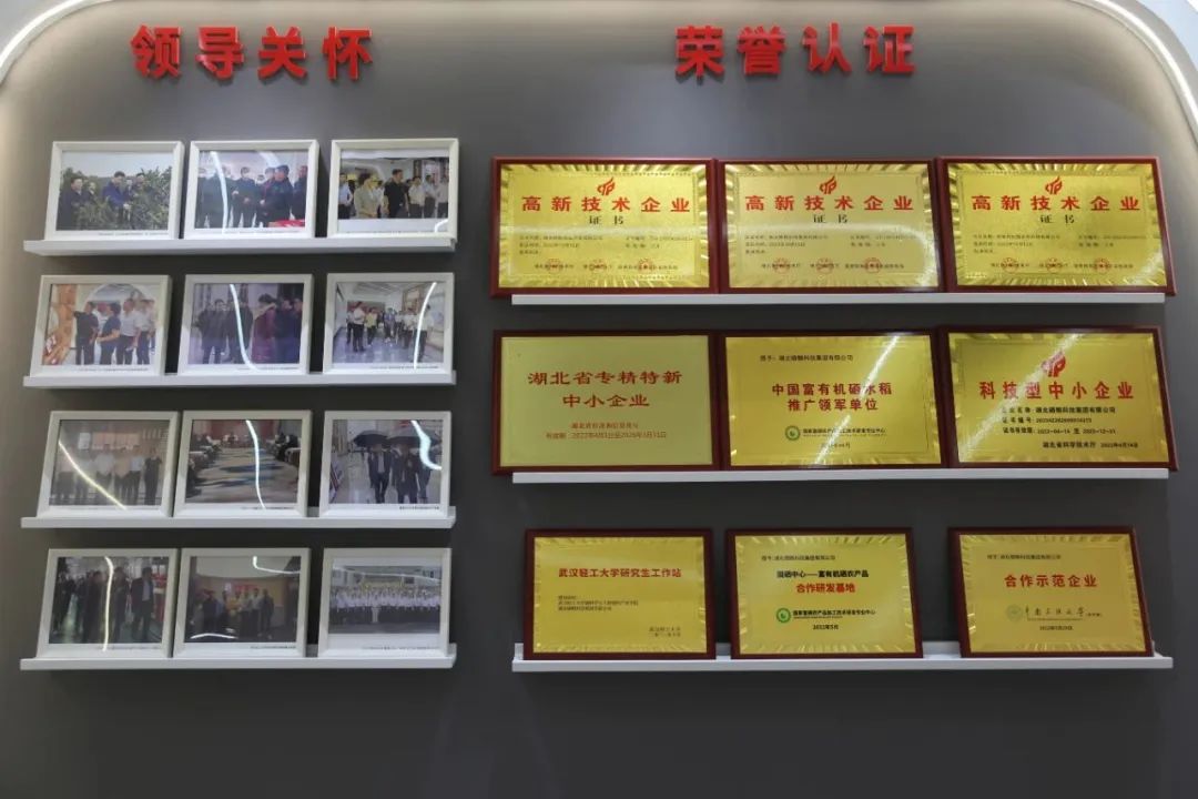恩施硒产品市场细分