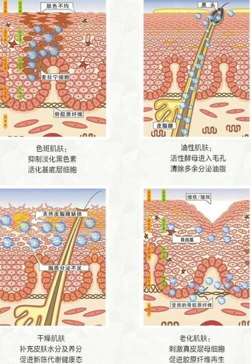 酵母硒产品都有什么