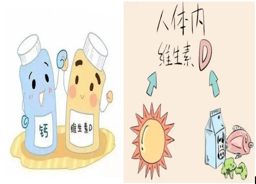 70岁老人补钙吃哪一种比较好