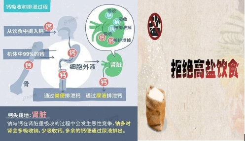 70岁老人补钙吃哪一种比较好