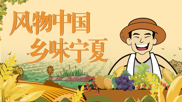 硒砂瓜产品介绍视频