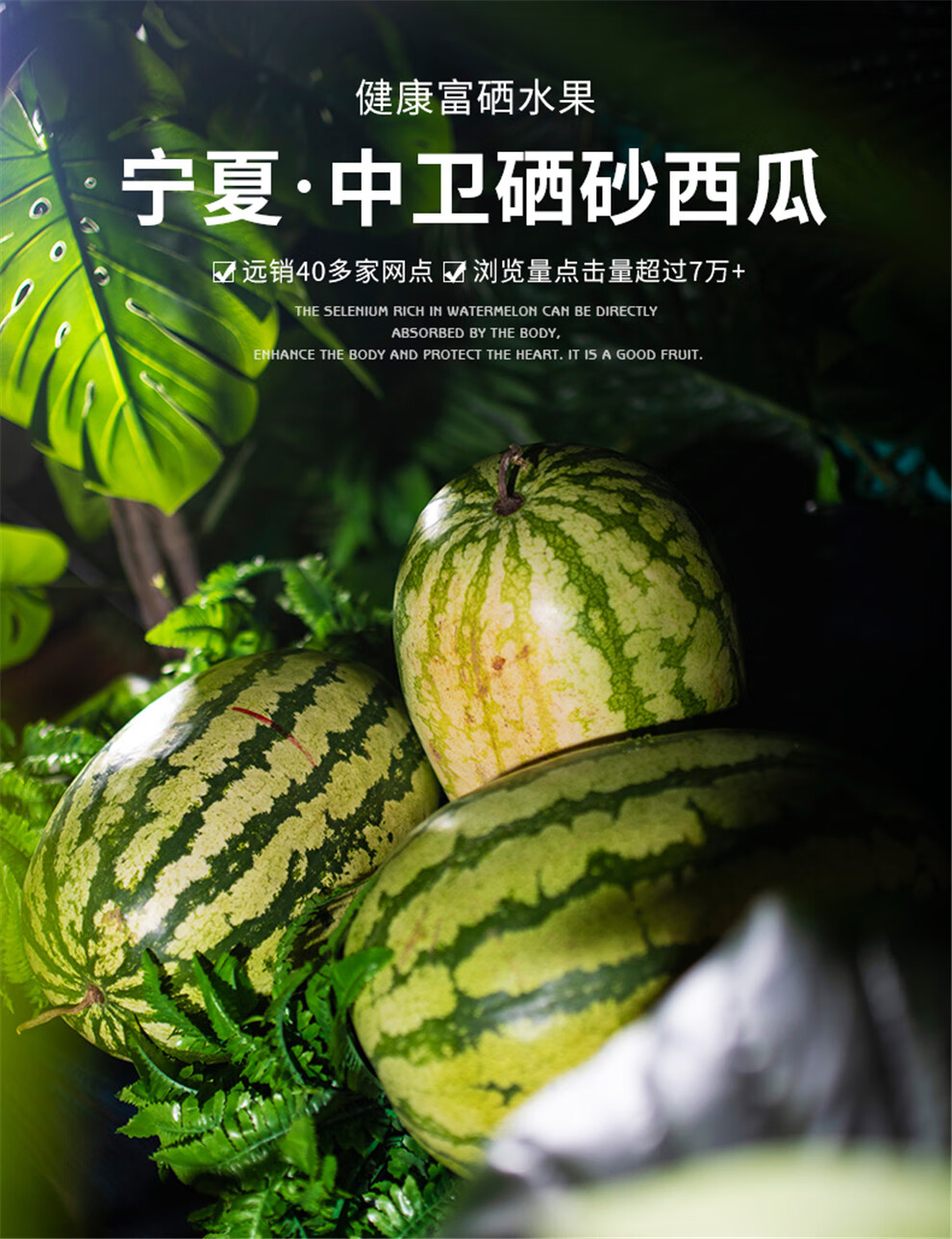宁夏硒砂瓜产品分析