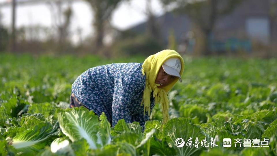 淘宝卖硒产品怎么样