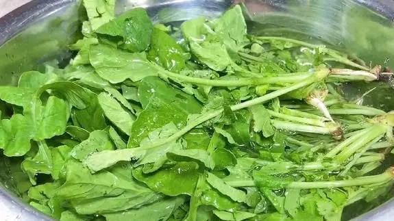 吃什么食物能补钙