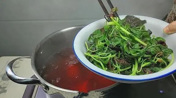吃什么食物能补钙