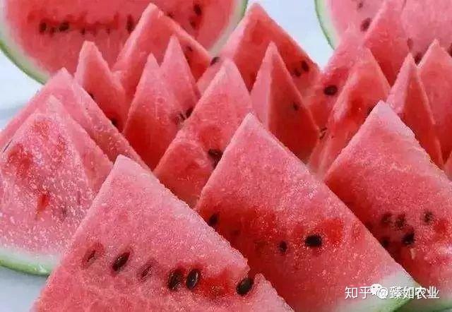 硒元素农产品有那些