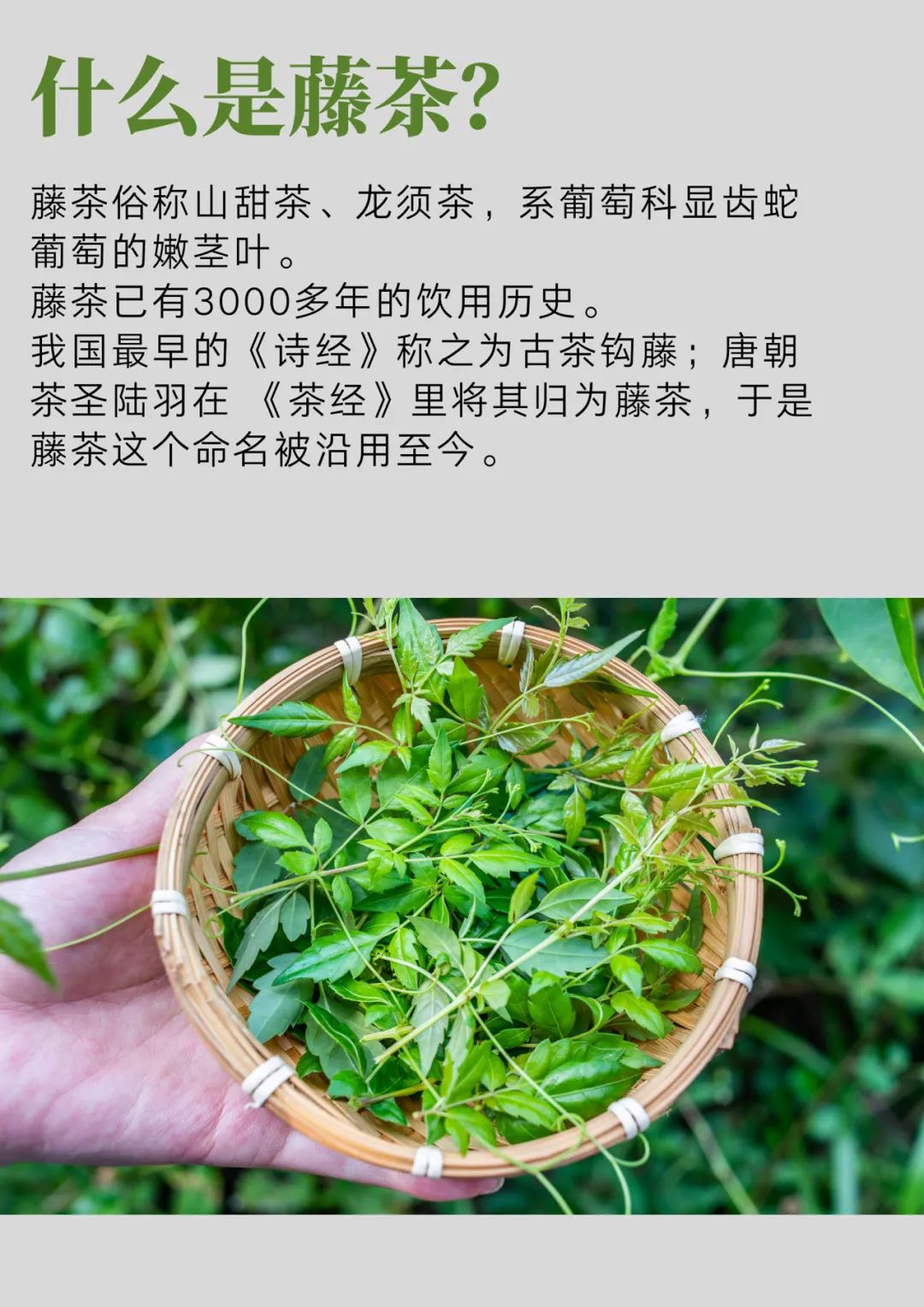 和硒对比的抗衰产品