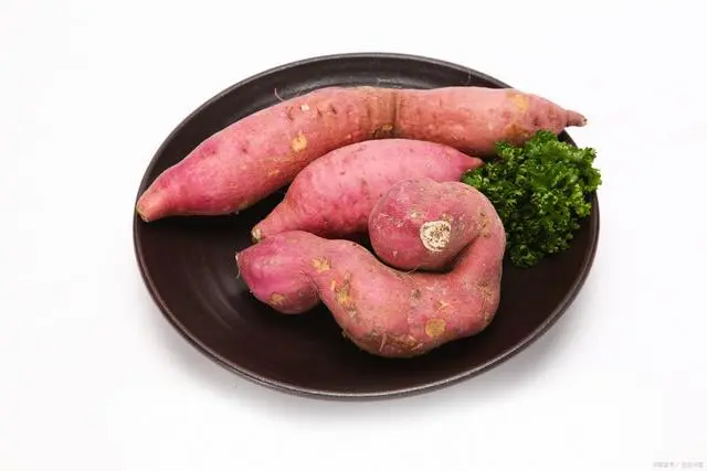 孩子补铁的食物有哪些