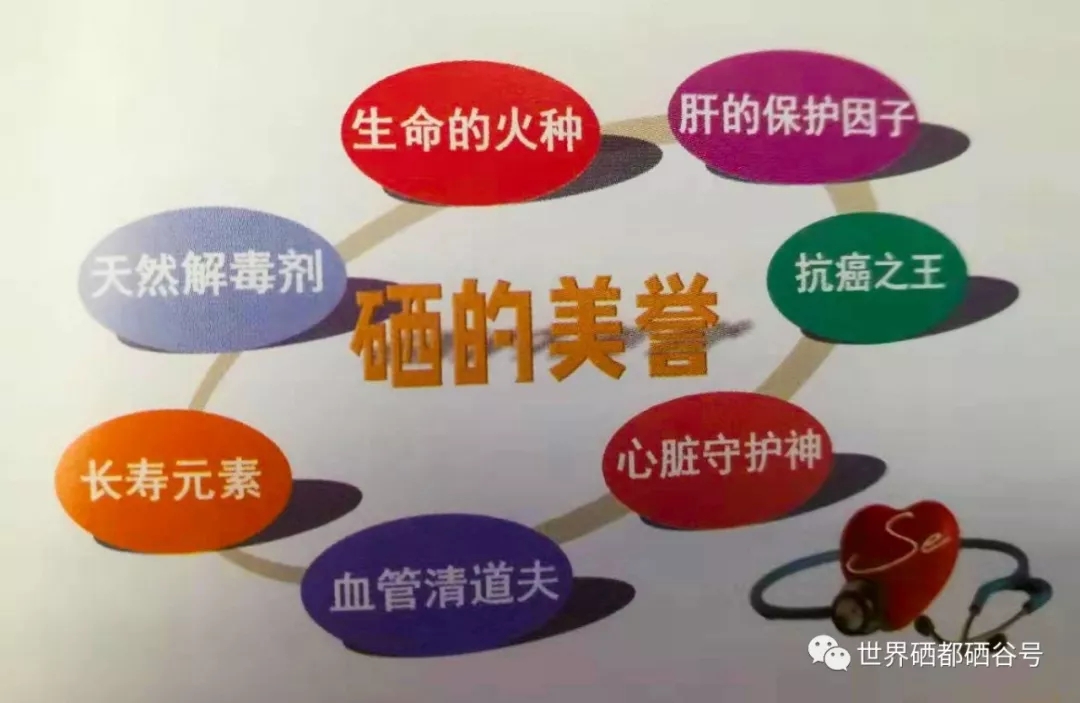 和硒对比的抗衰产品