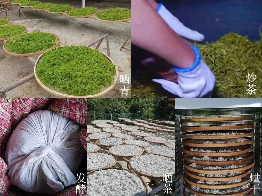 第六代硒产品是什么