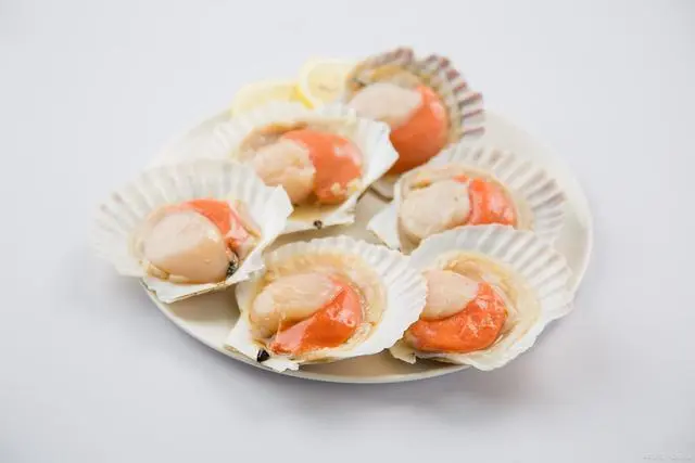 锌元素食物