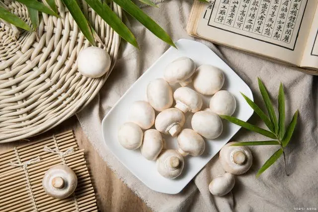 锌元素食物