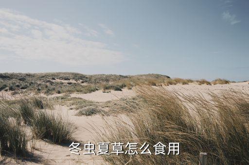 冬虫夏草怎么食用